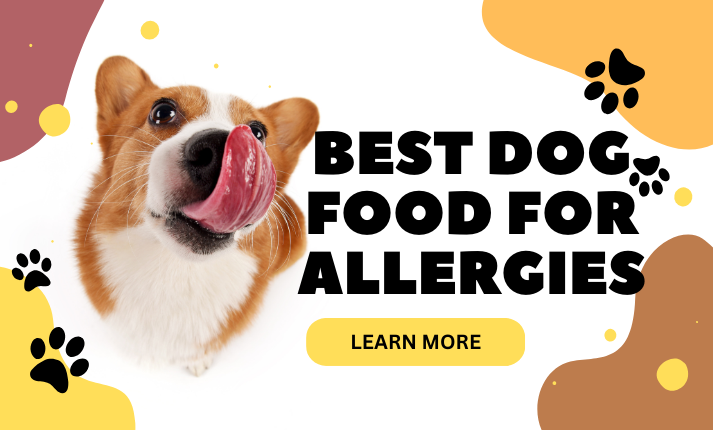 best food for allergies