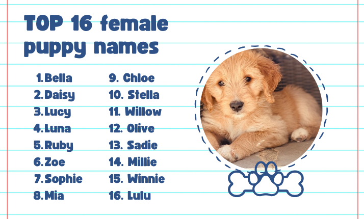 puppy name